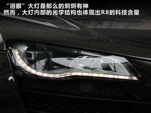 奥迪(进口) R8 Spyder 5.2 FSI quattro