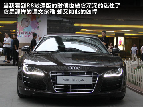 奥迪(进口) R8 Spyder 5.2 FSI quattro