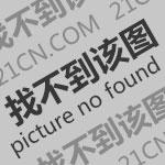 空间都在加大 4款今年上市中型车推荐