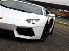 兰博基尼 兰博基尼 aventador 2011款 lp700-4