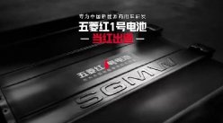 乘用车看比亚迪，商用车
